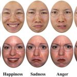 Emotions facial emotion expression basic sadness have anger fear feelings humintell universality disgust recognition mice expressed contempt nonverbal humans apa